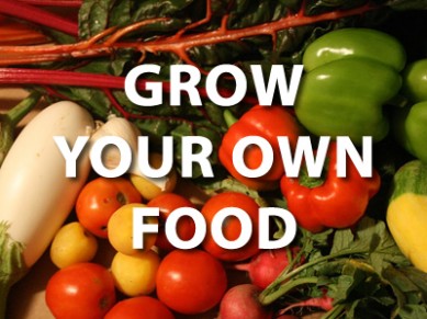 Grow Your own food 