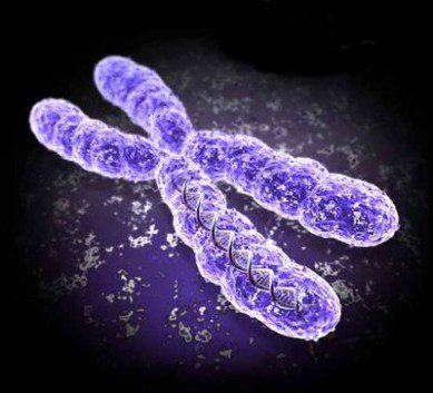 An image of a chromosome. A mutated X chromosome can be the cause of Lowe's Syndrome