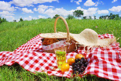 picnic Consett