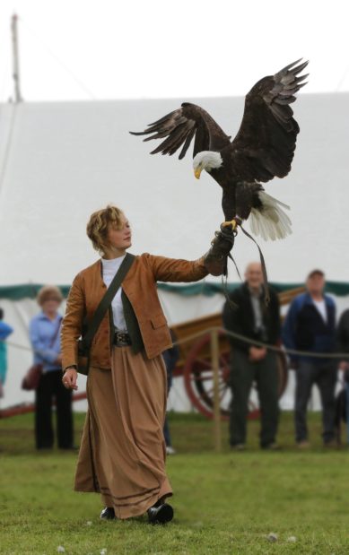 The amazing birds of prey that will be on display during the show