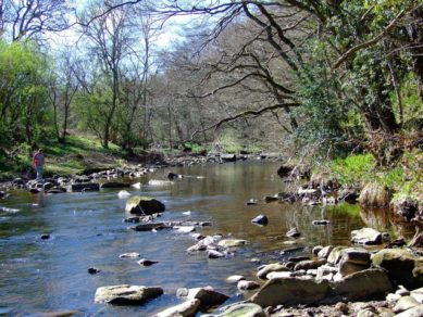 'Fish pass' to Enhance Health of River Derwent