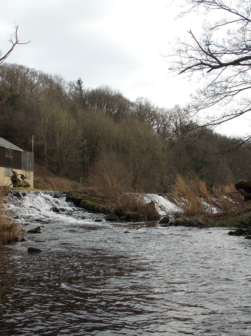 The Six Weeks Holiday – Down By the River – Lorraine Weightman