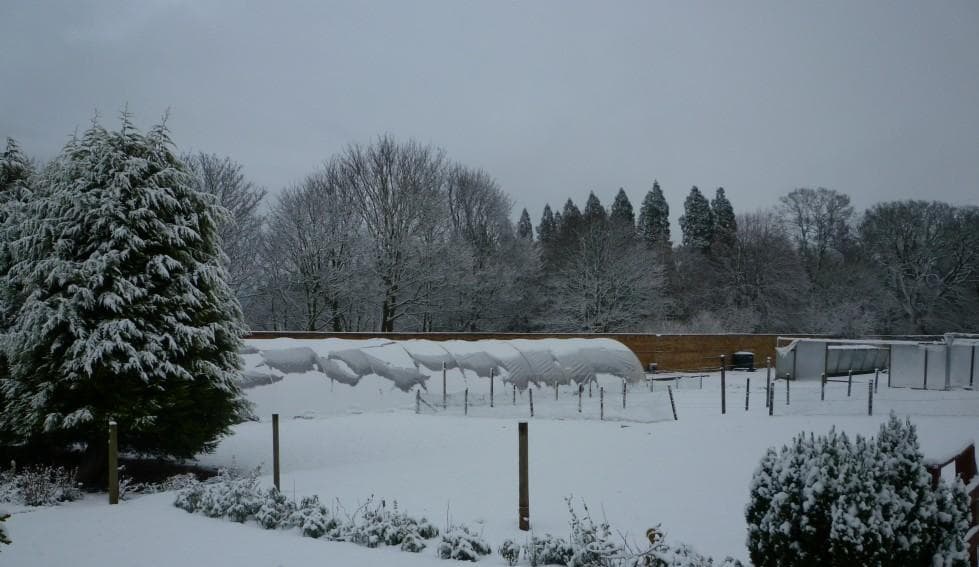 Snow Way! Not Again!
