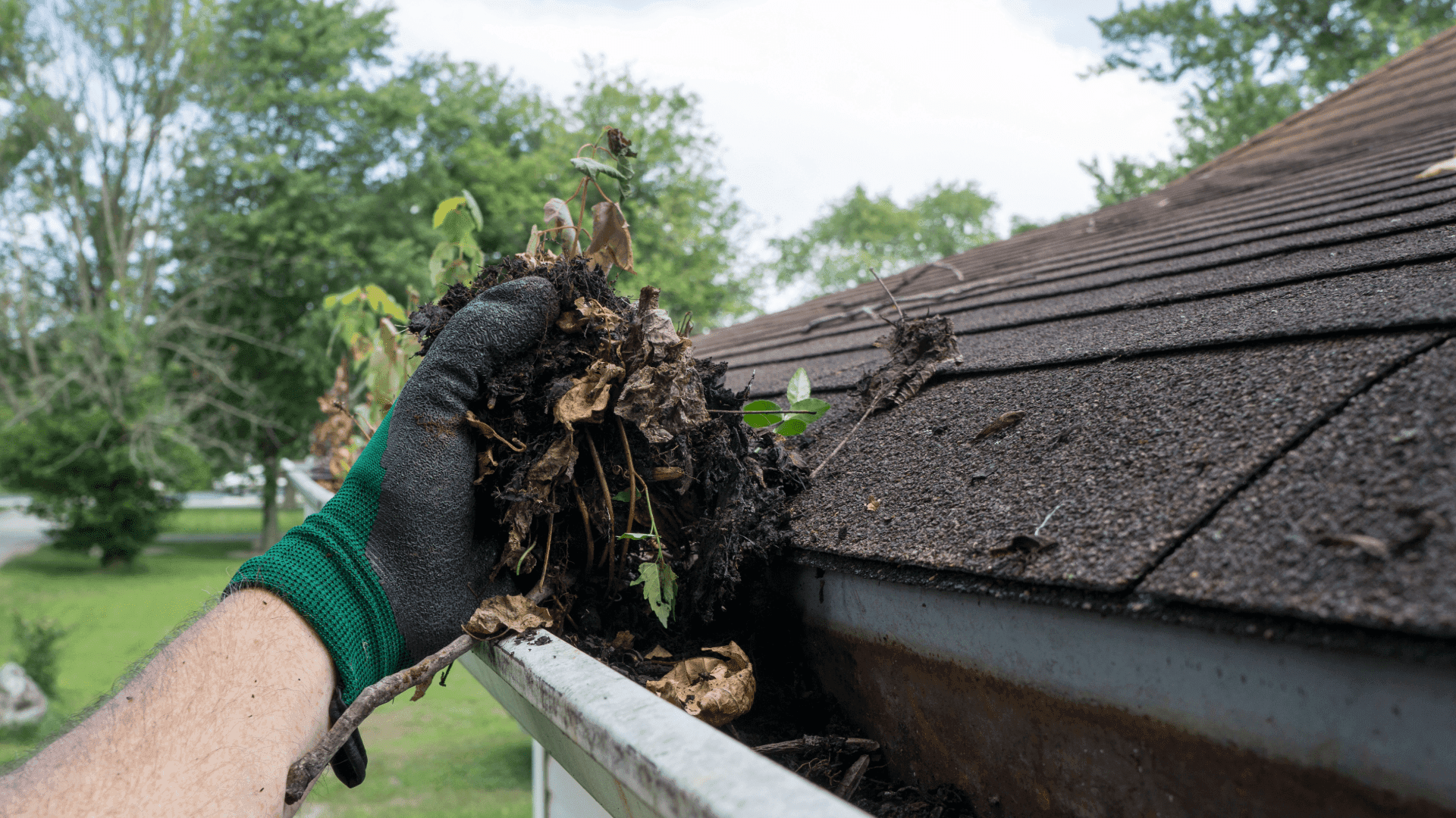 Leading Gutter Cleaning Service in Consett