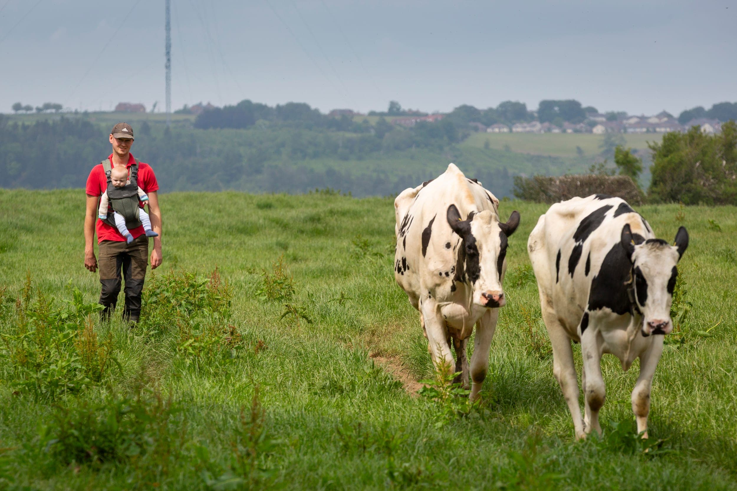 Three Generations of Dairy Farming, and Counting