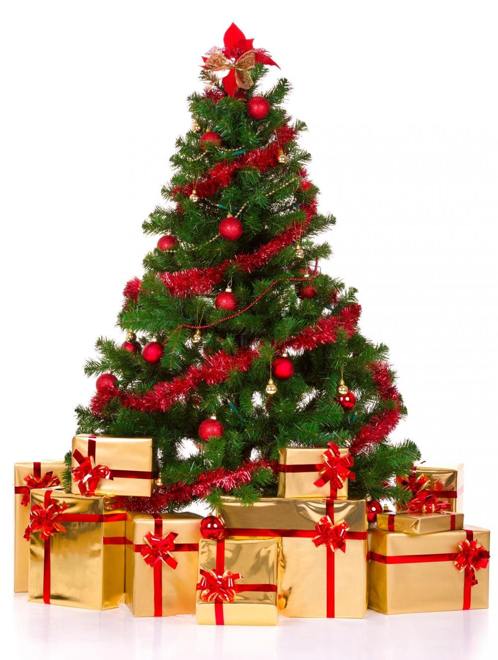 Christmas Tree Tips