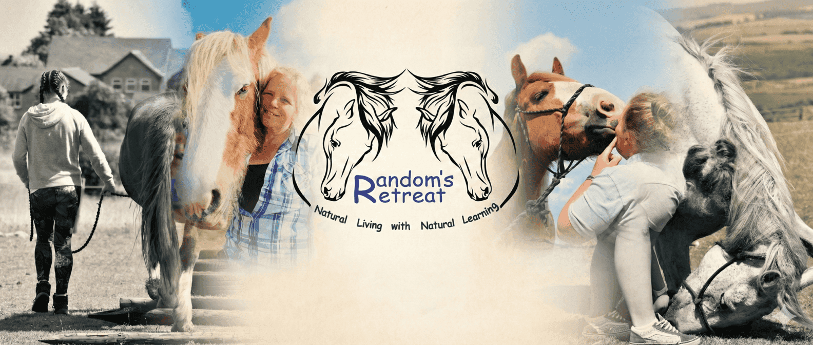 Randoms Retreat CIC, The “Horse Power” Healing Hearts and Minds in Medomsley