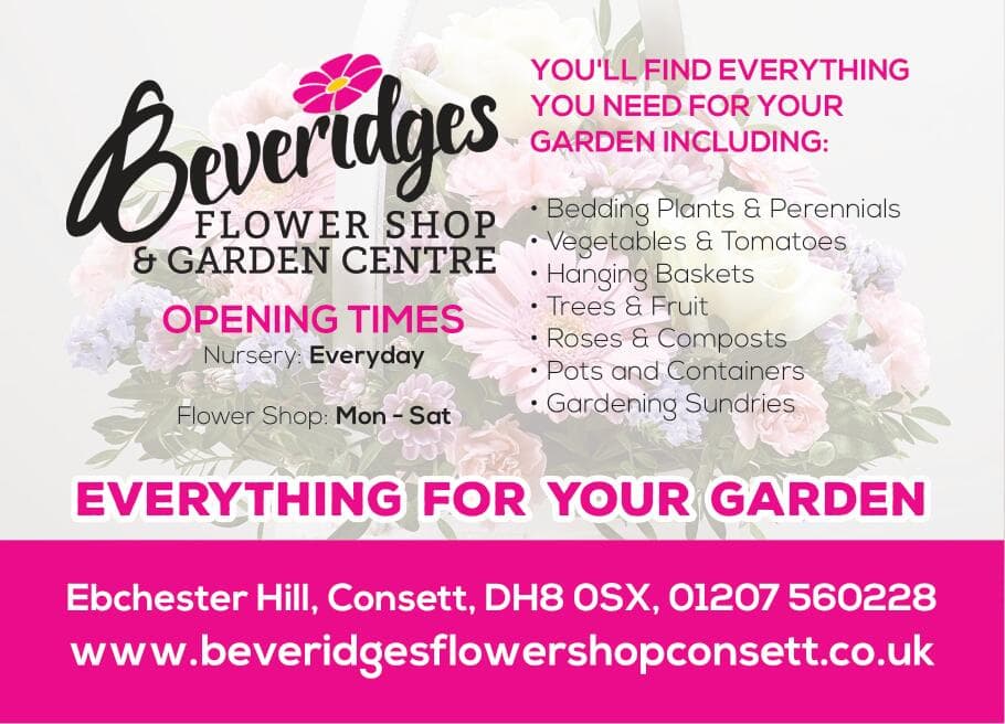 Beveridge’s Nursery: Top 5 Tips for a Spectacular Garden Transformation