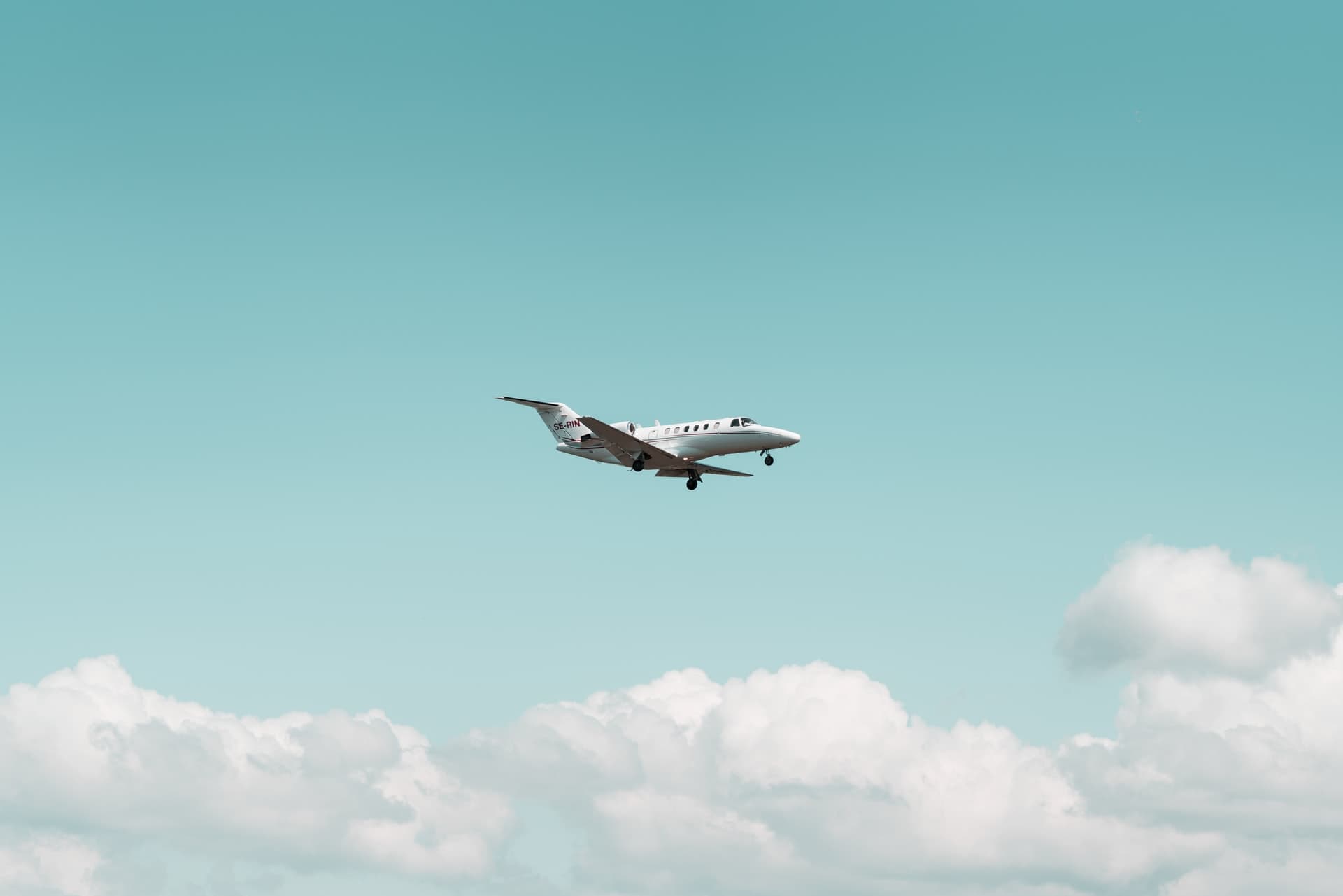 Flying High – By Joyce Shaw