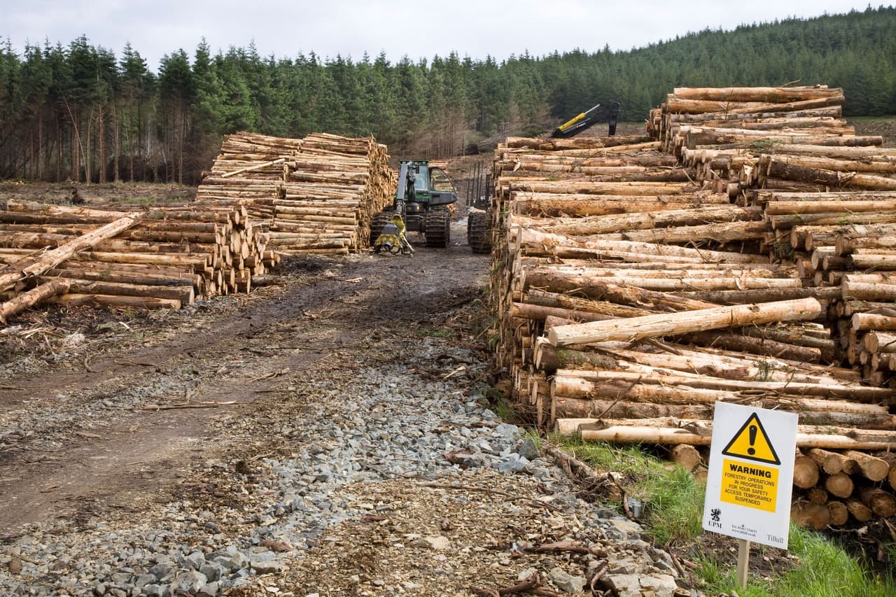 Say No to Greencroft Forest: Local Group Challenges Industrial Forestry with National Campaign