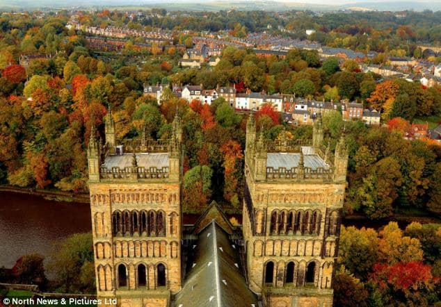 Tree Management Policy in Durham