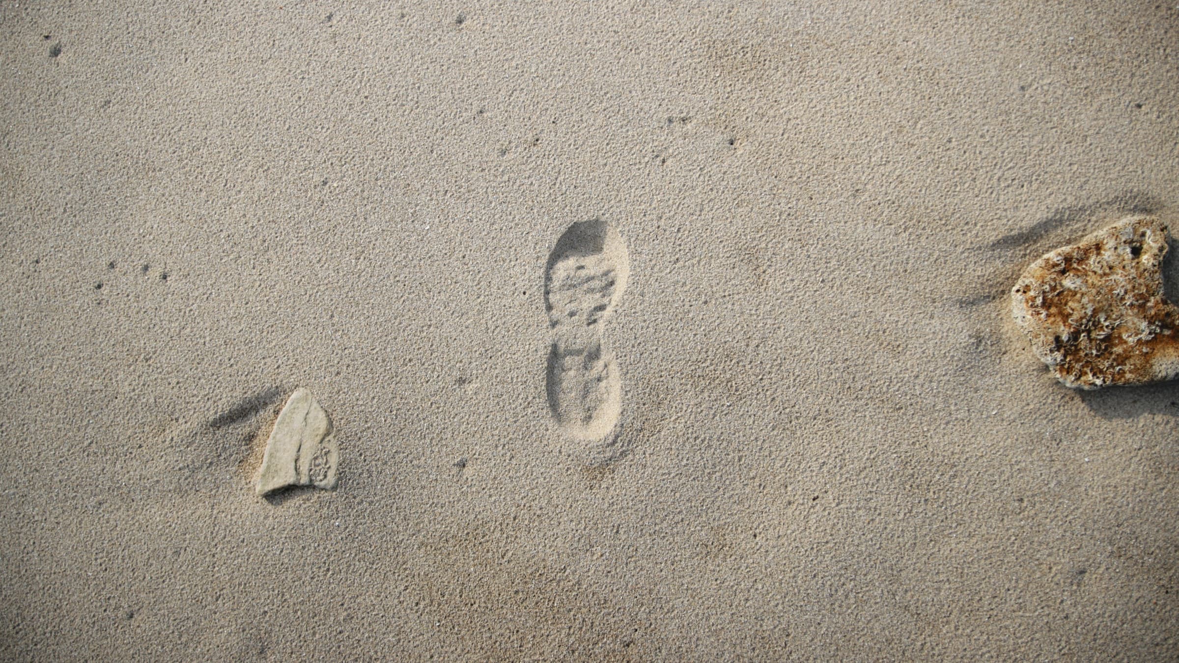 Nancy Shaw –  “In with both Feet”