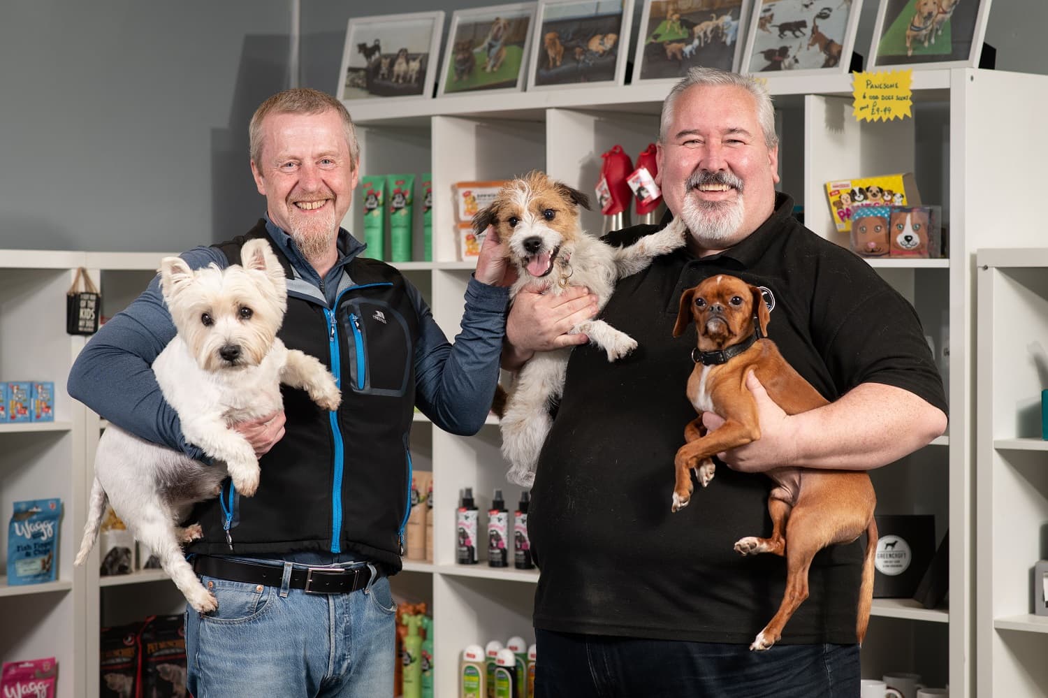 Executive Compass Shines Light on Triumph of Dog Day Care Facilities