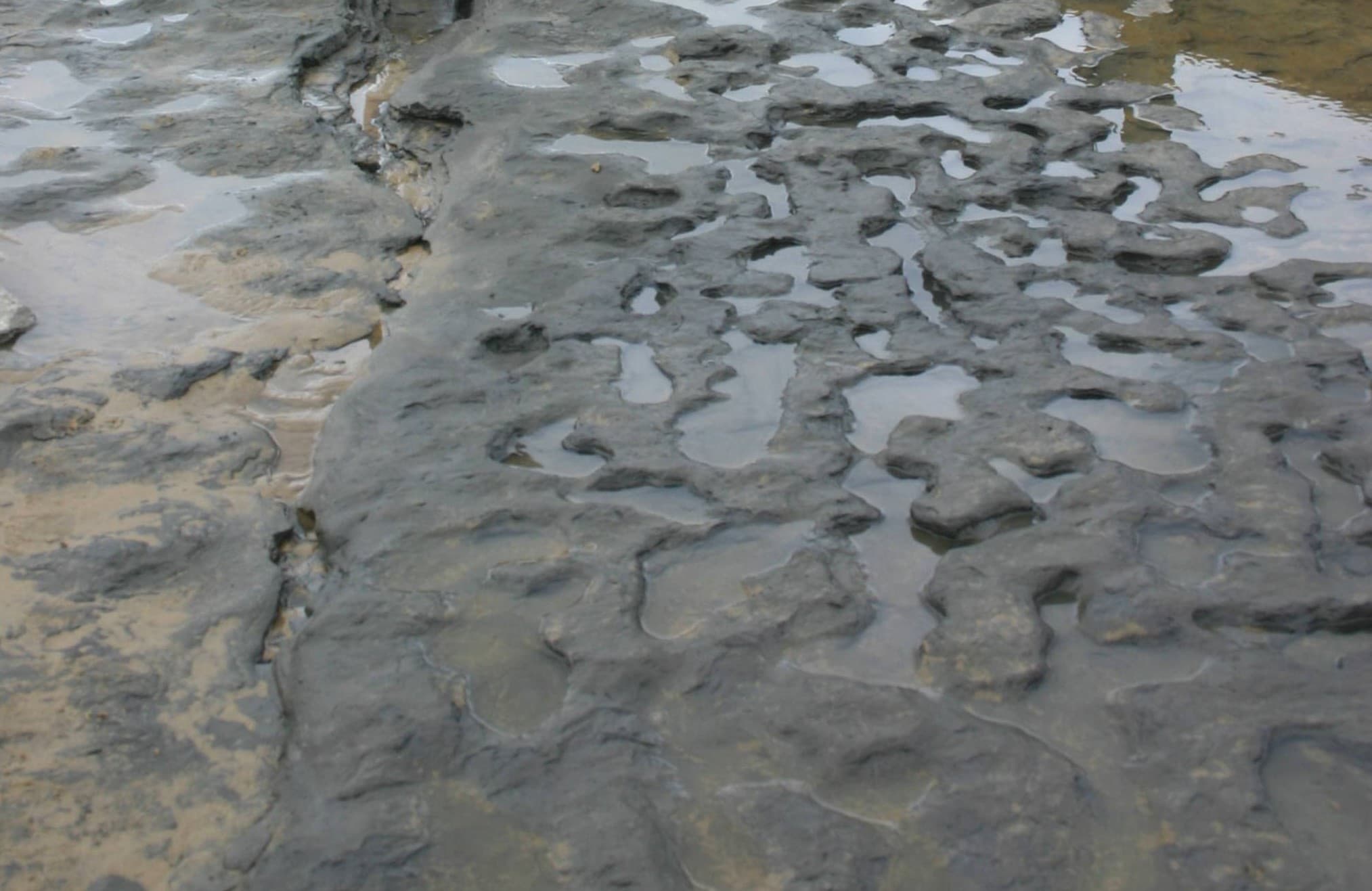 Ancient Footprints Found in England