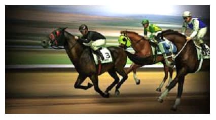 Villa Real School – Race Night Charity Event