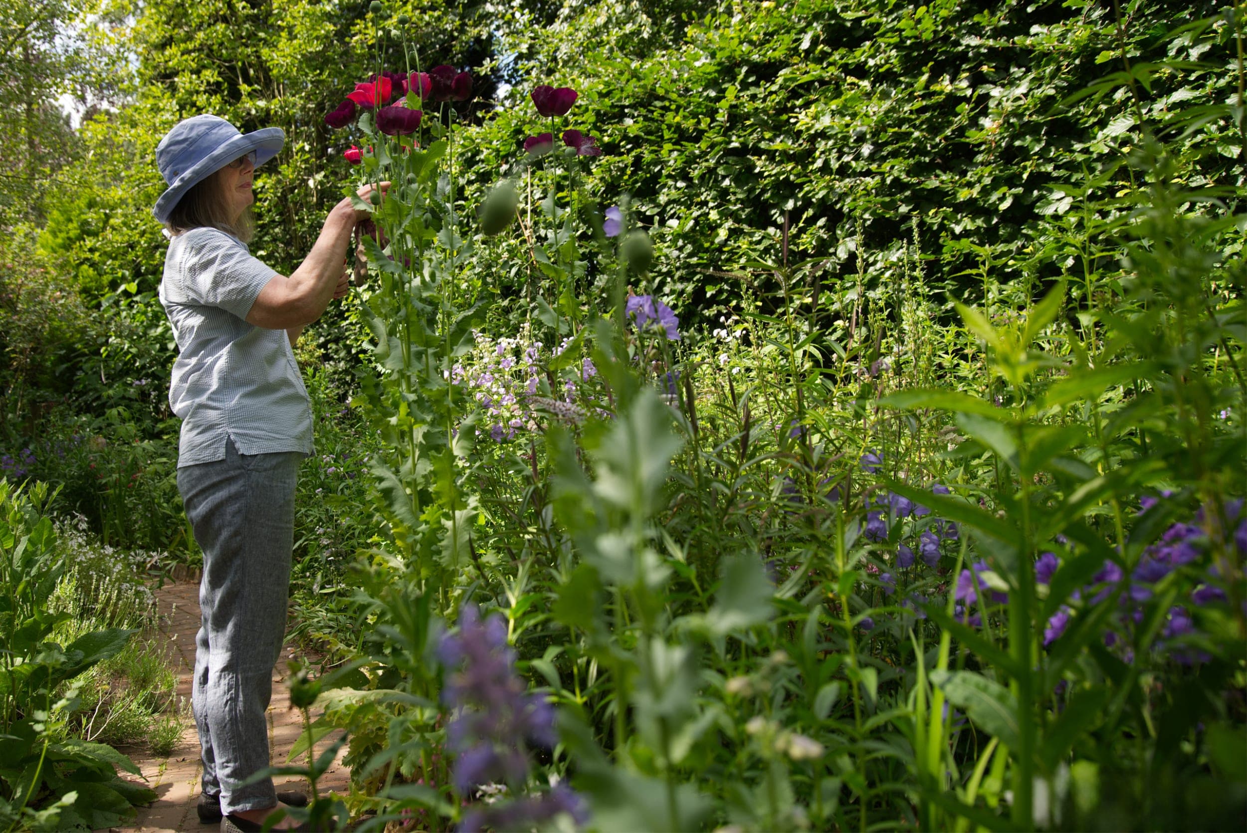 Inside Roz and Chris’s Hidden Garden