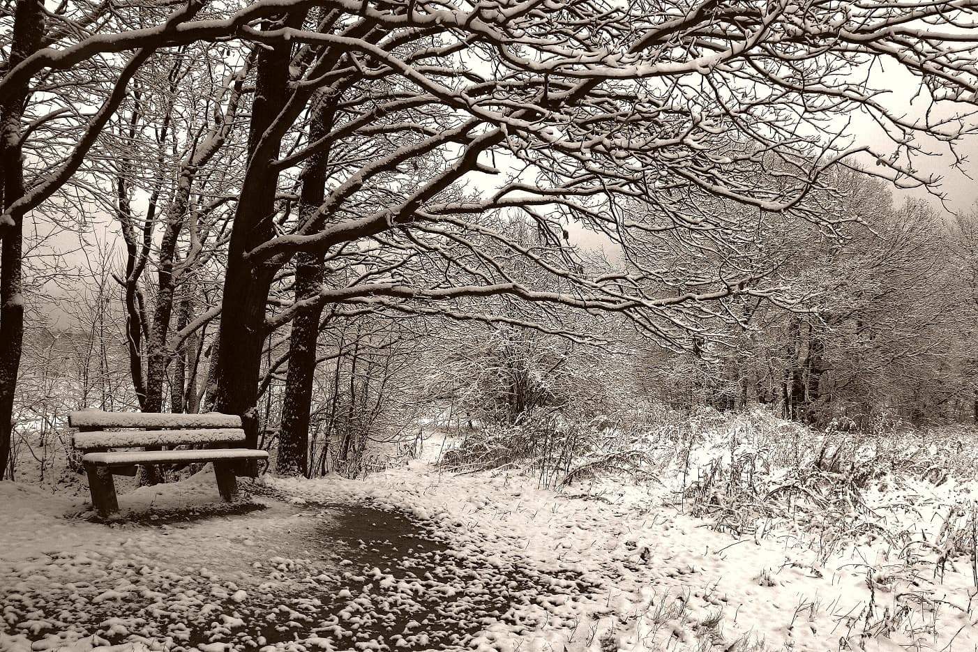 The Winter of 62