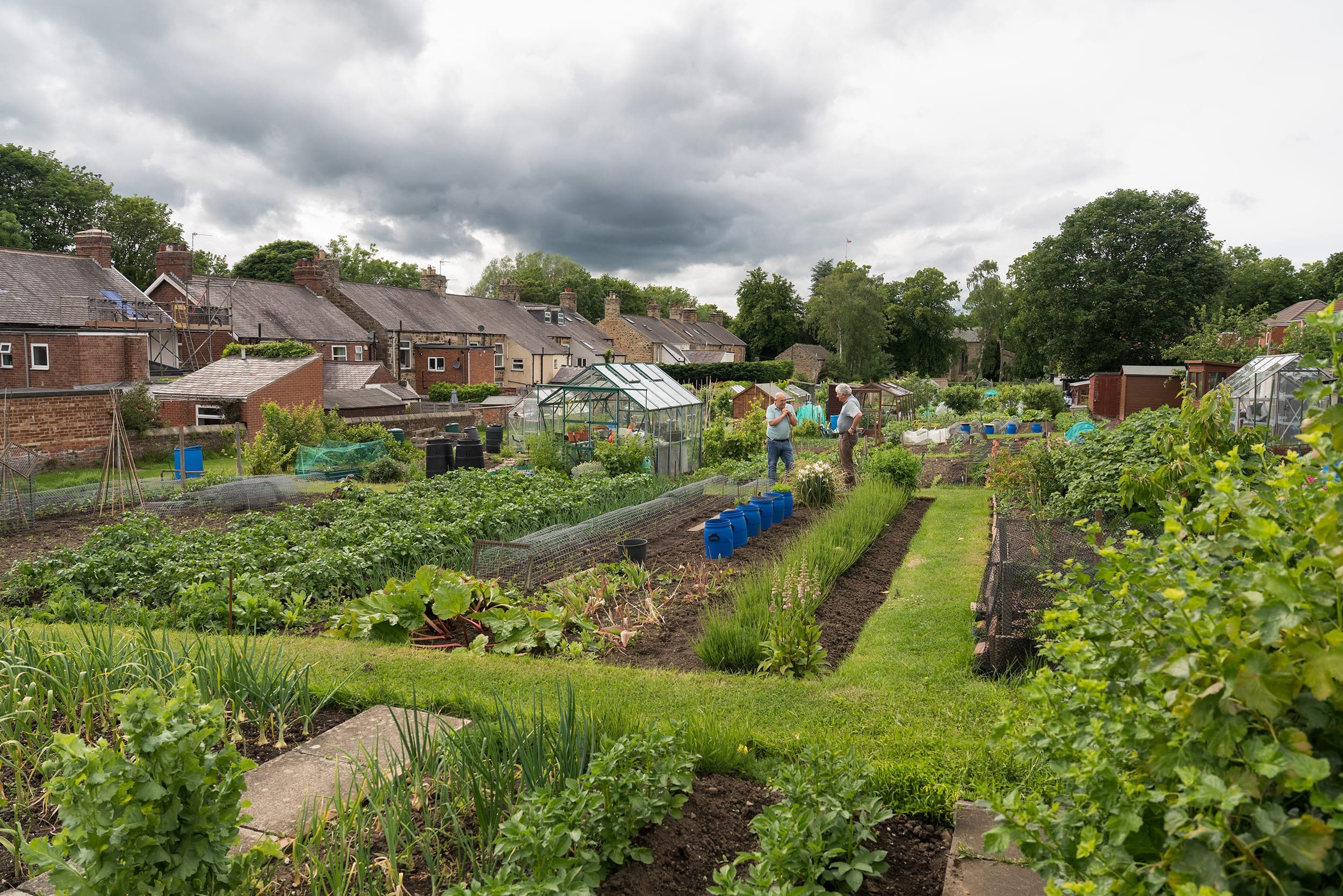 Thirty Plots, and a Waiting List