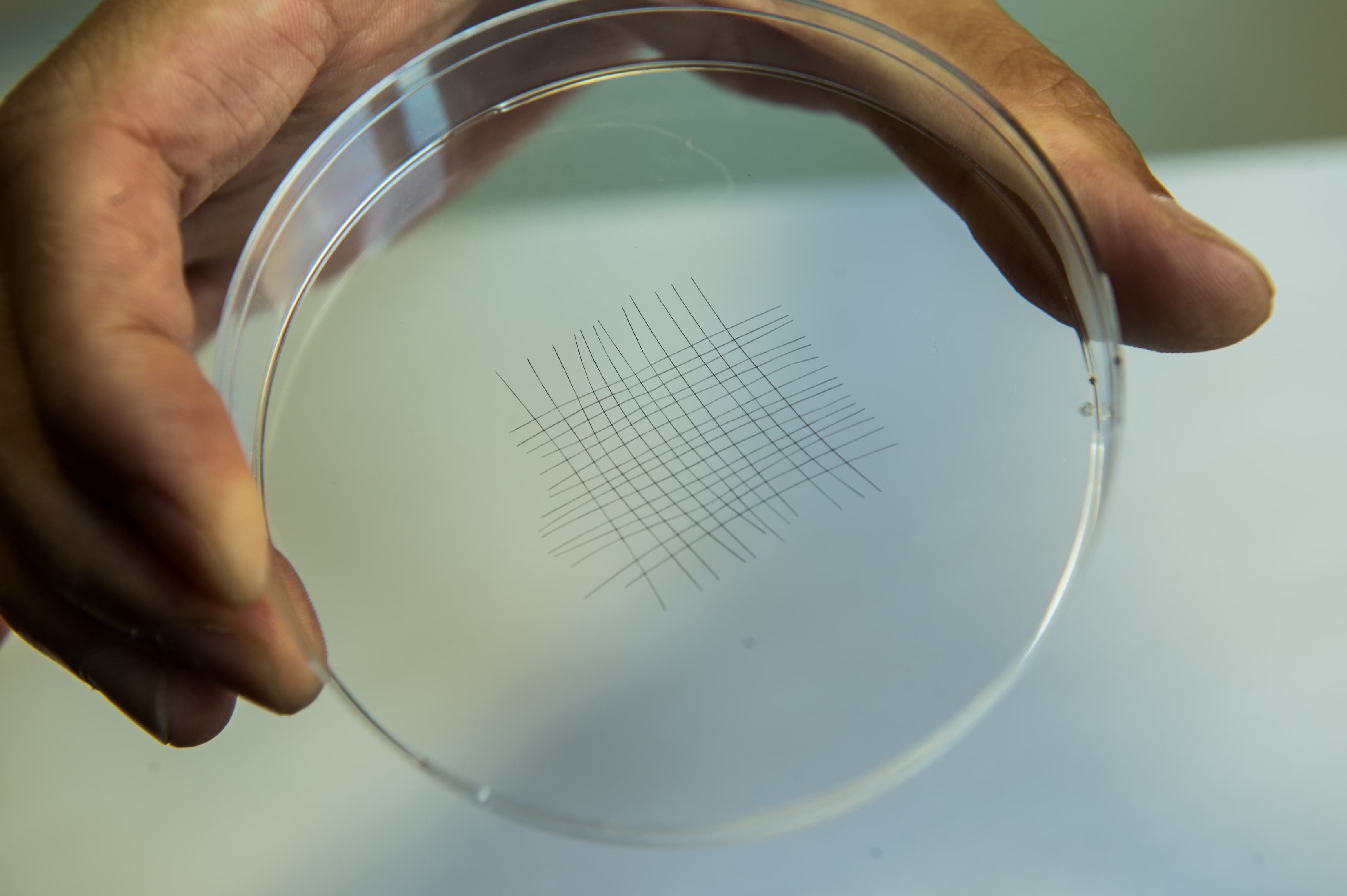 Consett Graphene Manufacturer Leading Revolution