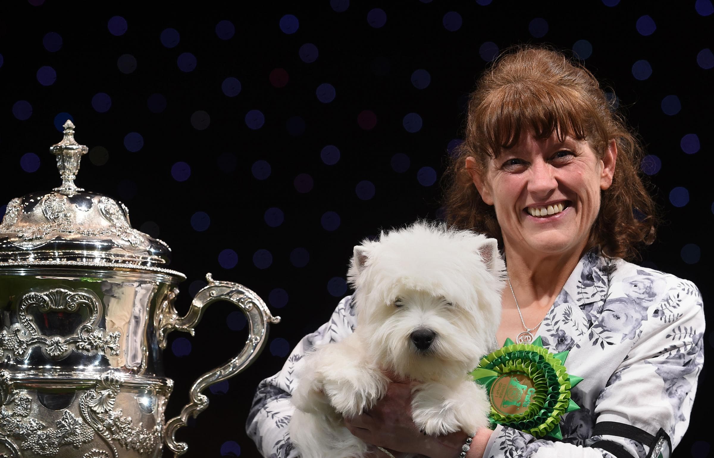 Geordie Girl Wins Best in Show – Crufts 2016
