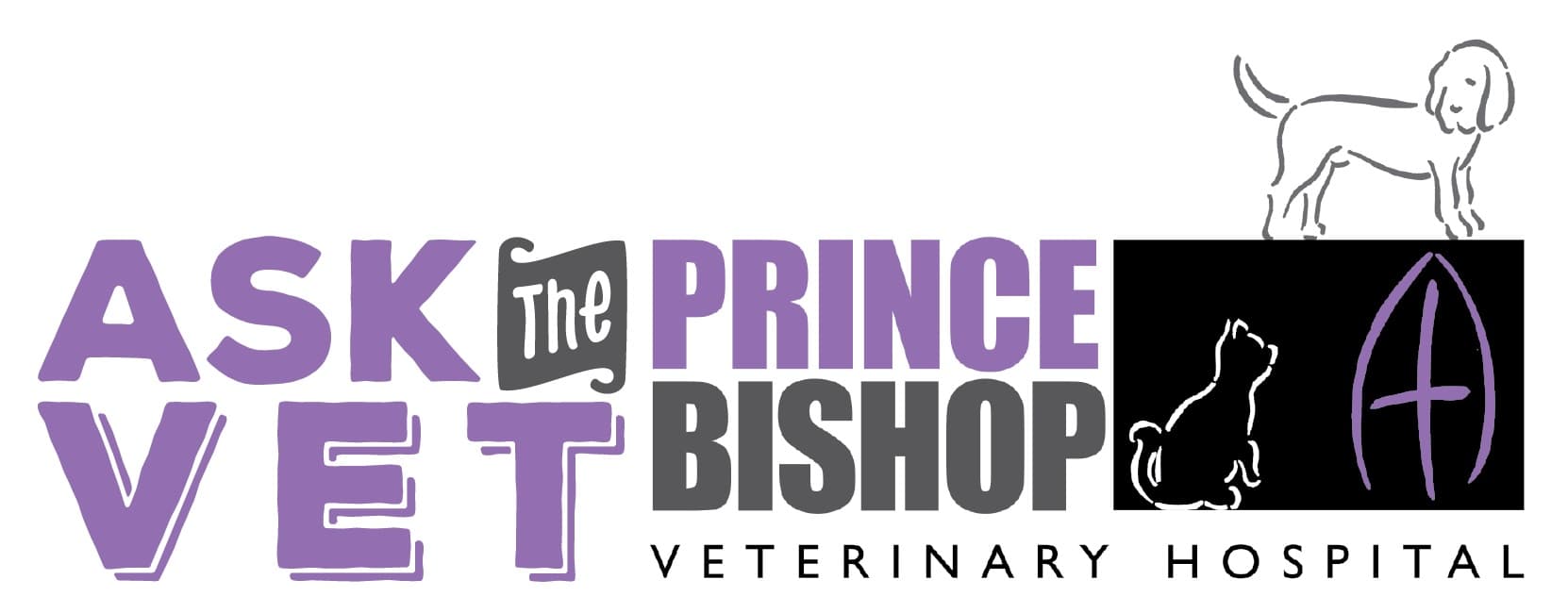 Ask the Vet – Prince Bishops Vets – Why do I need to worm my dog regularly?