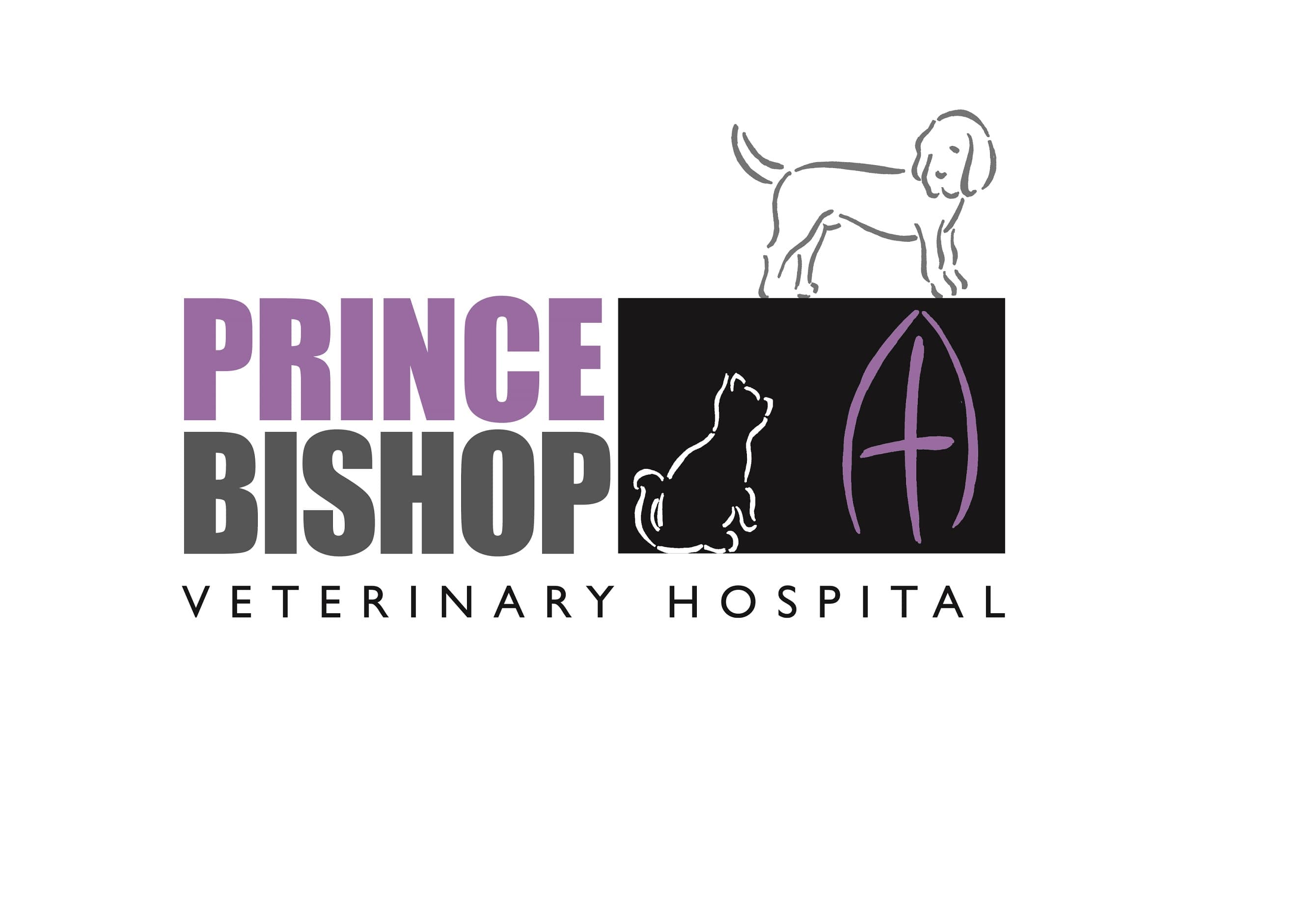 Ask the Vet – Prince Bishops Vets