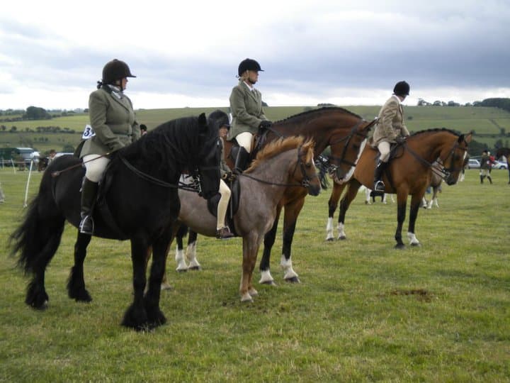 Lanchester Agricultural Show 2014