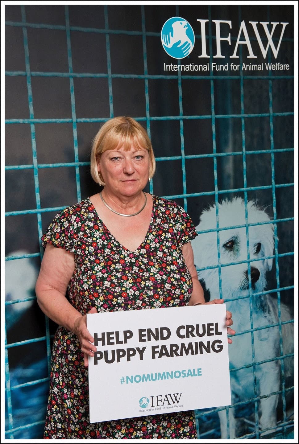 Pat Glass Give Support to IFAW