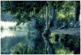 Diamond Stream – By Syd Peck