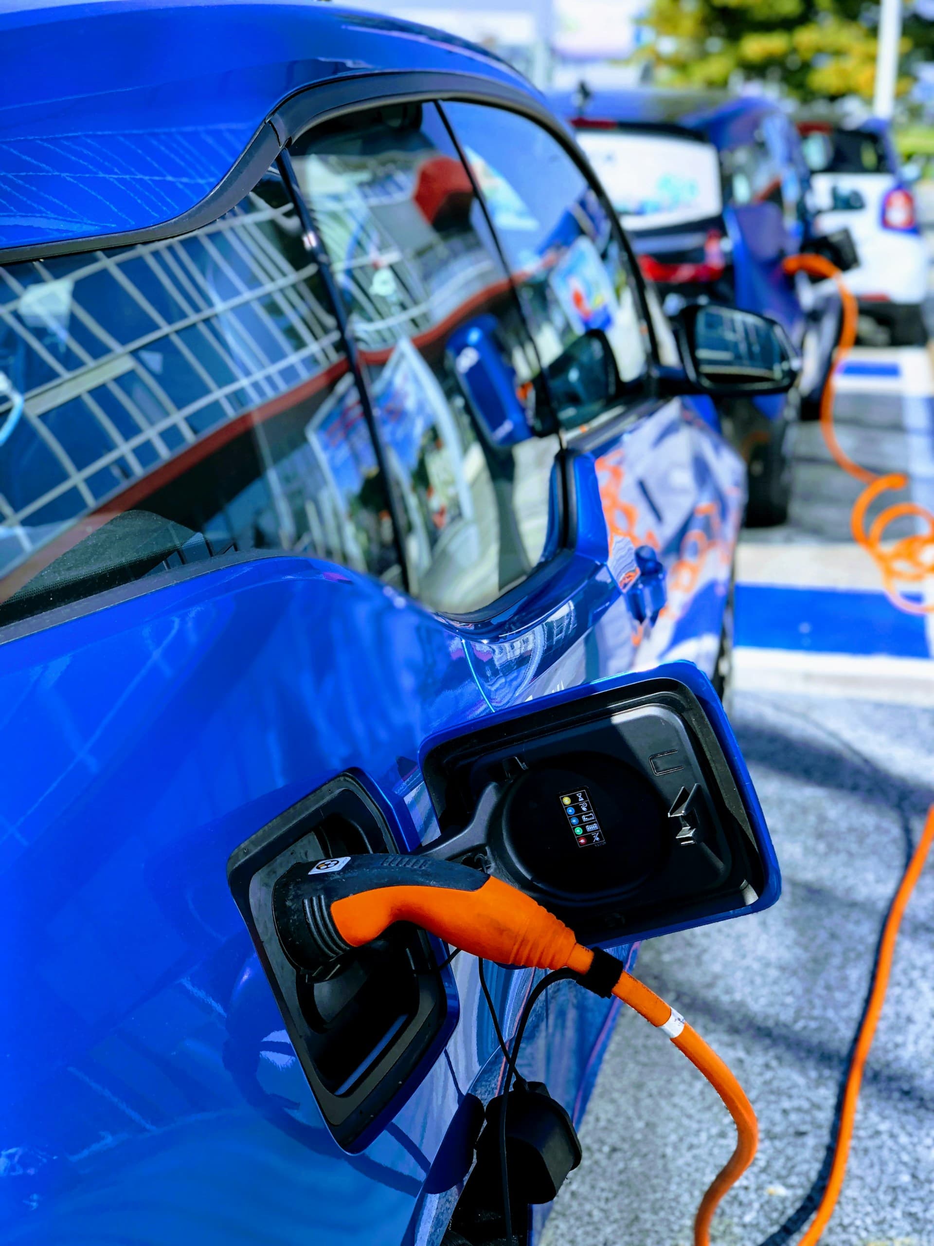 On the Road to Sustainability: The Role of Electric Taxis in Reducing Urban Pollution