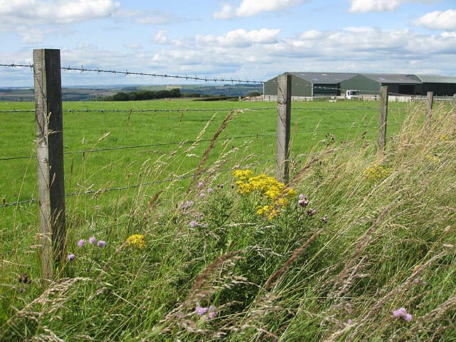 Proposed Plans For 3,200 Housing Units In Consett