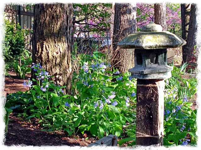 Preparing Your Garden For Spring and Summer: 5 Must-Have Gardening Tools