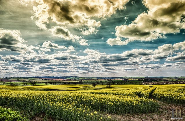 Consett Farmer Scoops Award for Environmentally Friendly Farming