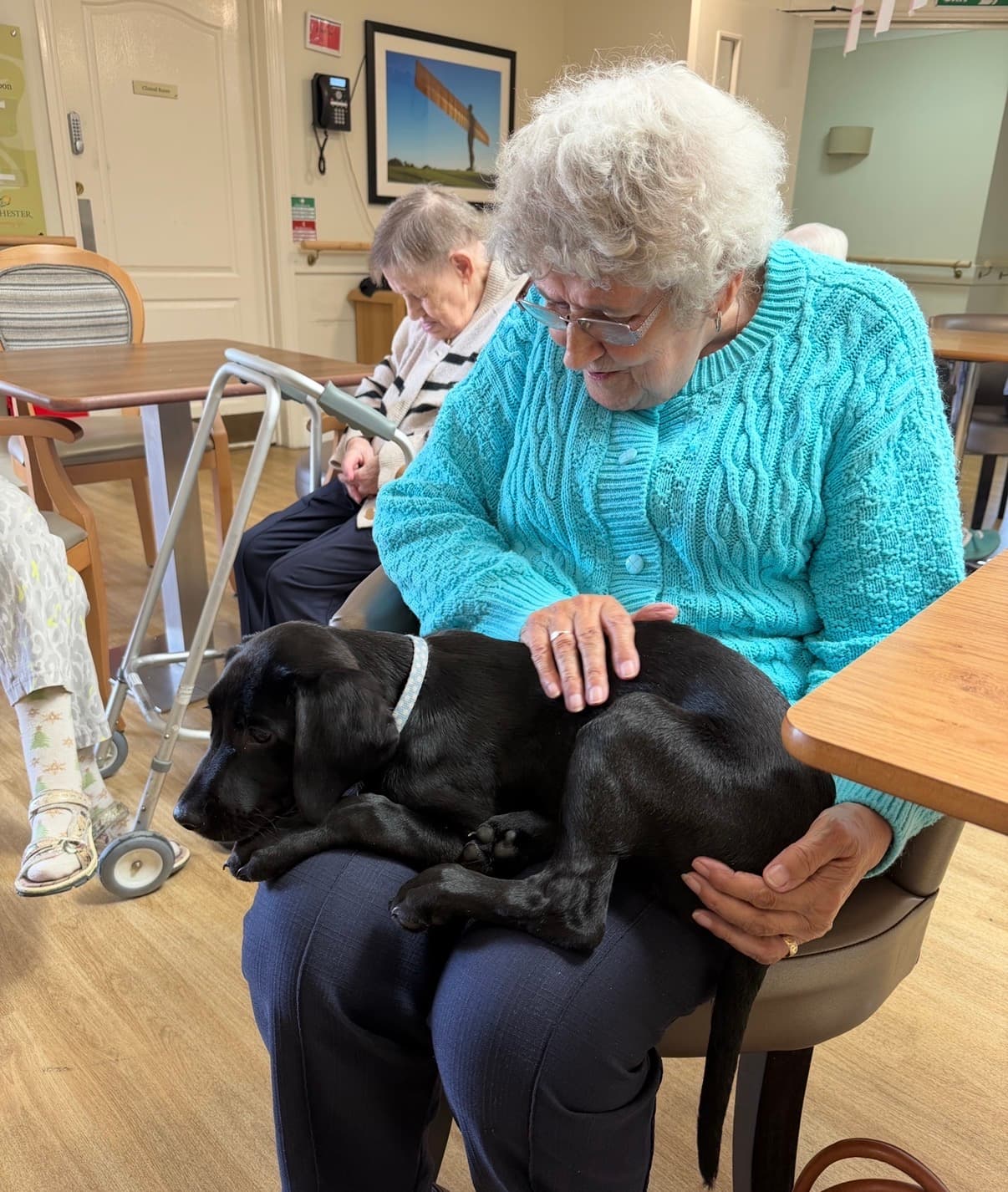From Consett to Parliament: Therapy Dog CIC Celebrates Double National Award Win