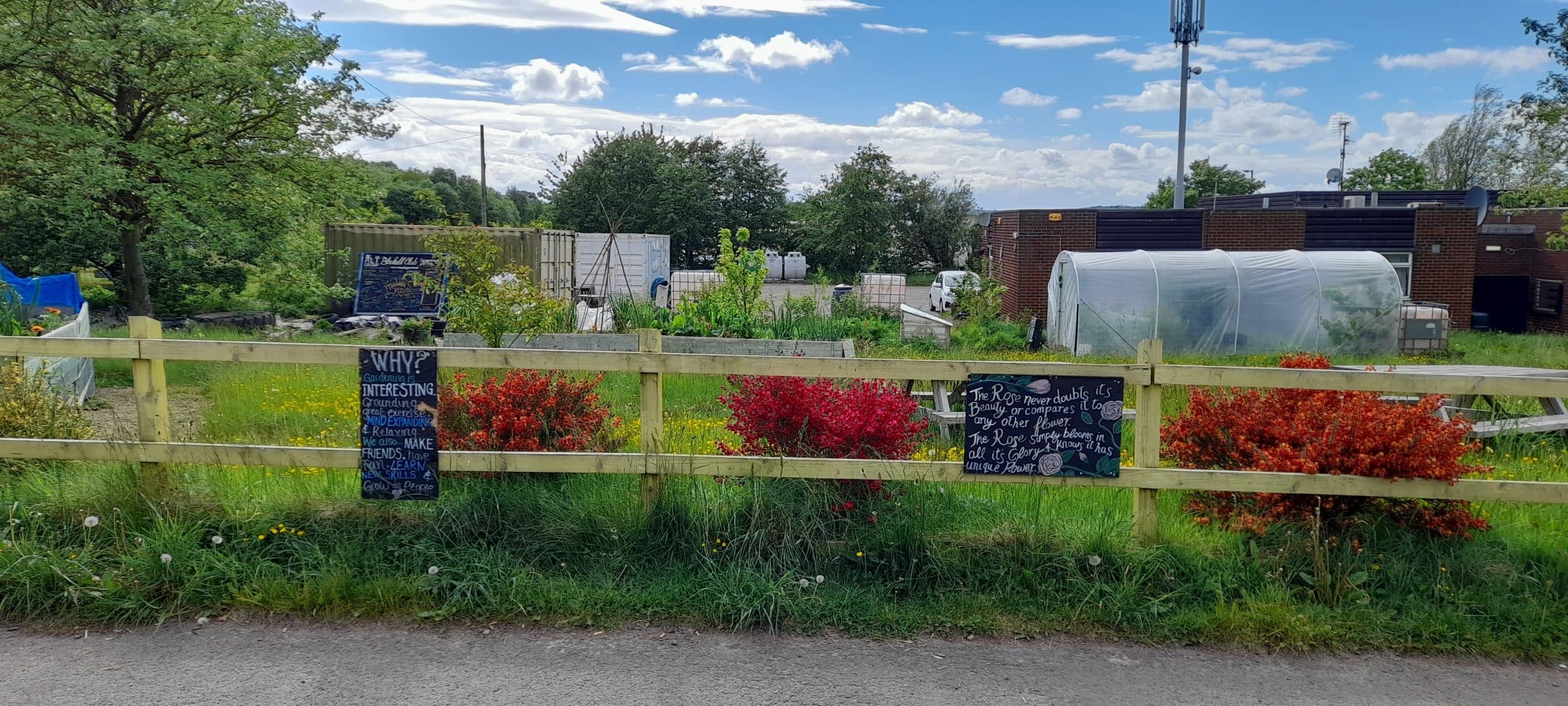 Blackhill Club Community Garden Joins Love School & Green Spaces Online Courses