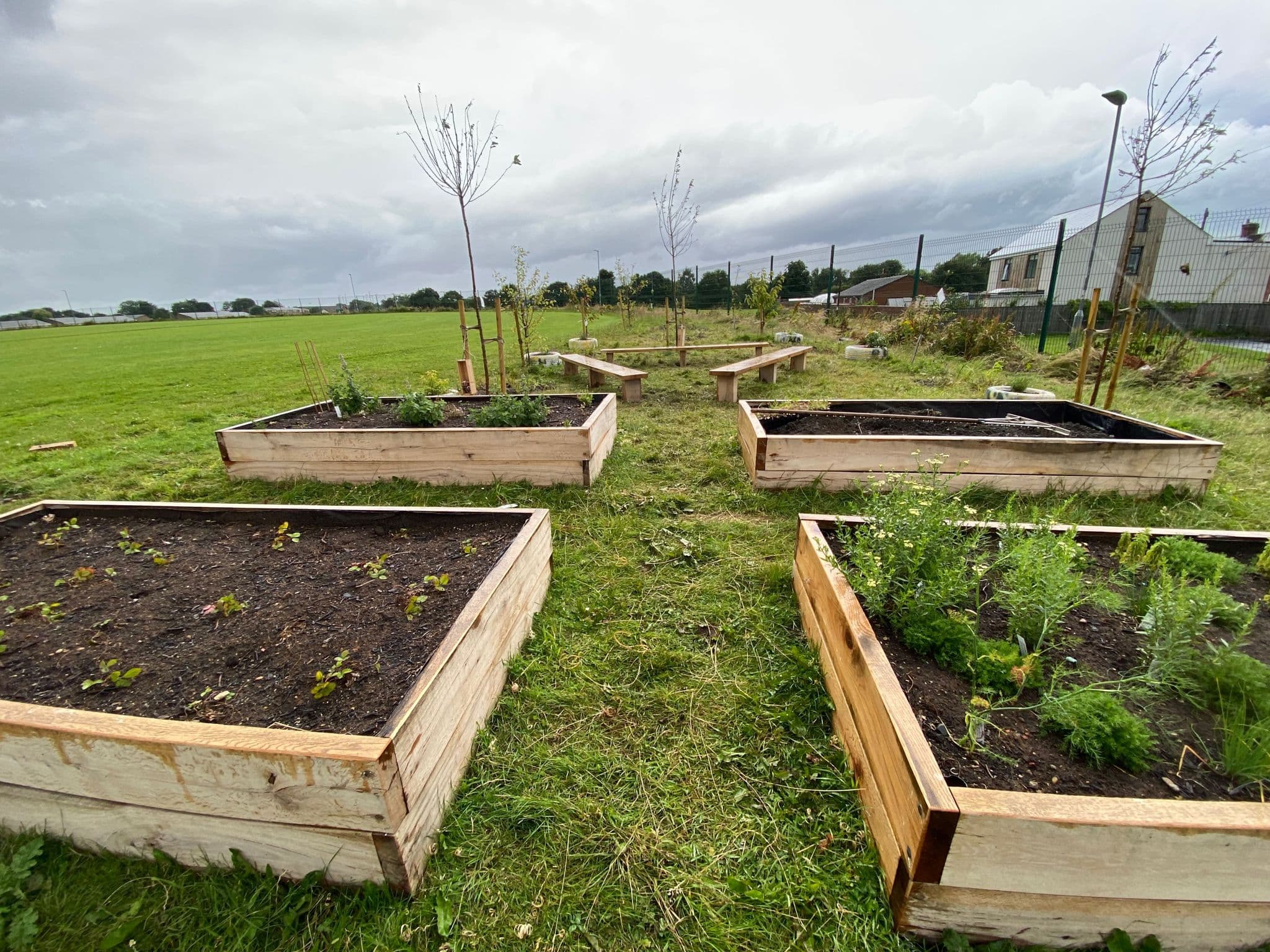 Nurturing Change: North Durham Academy’s Wellbeing Garden