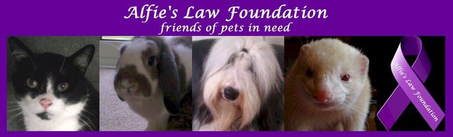Alfie’s Law Revisited