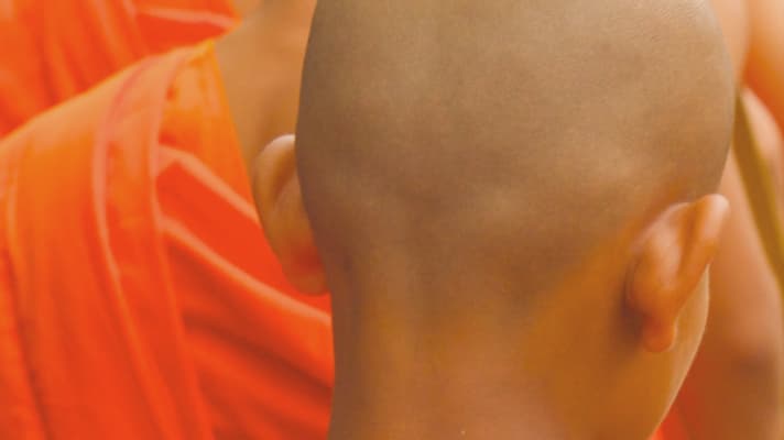 Hair loss can affect our self-esteem, here are some useful tips