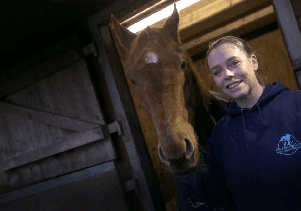 Little Barn of Calm – A Safe Haven Where Animals Help Children Thrive