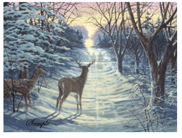 Christmas Time Problems by Syd Peck