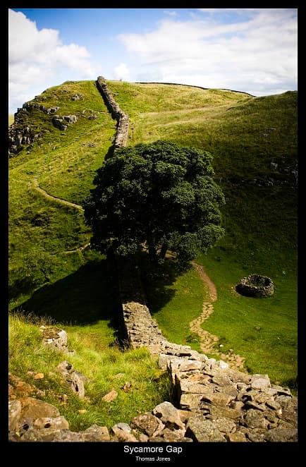 My New Home – Sycamore Gap