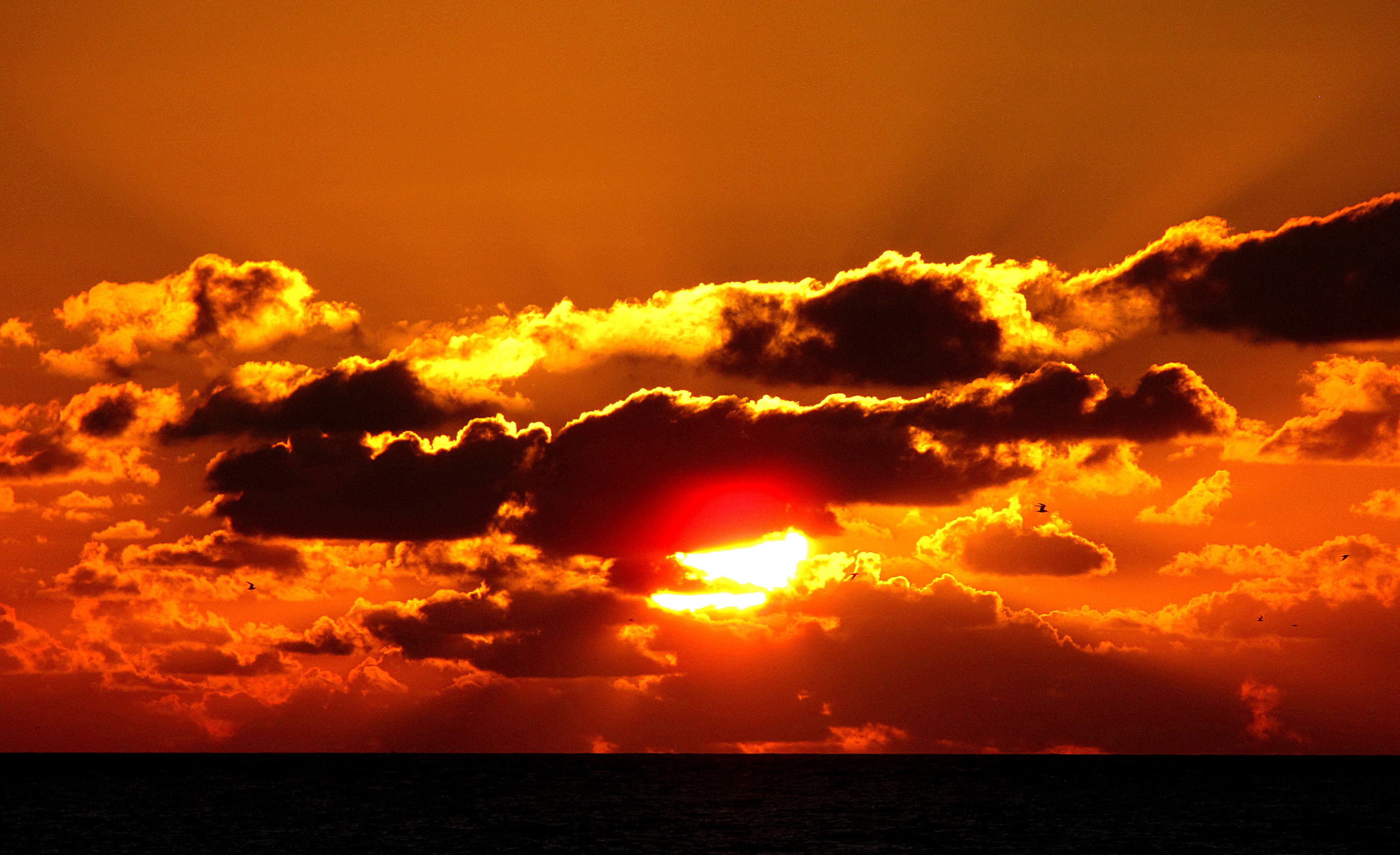 Heat Waves Expected by 2040