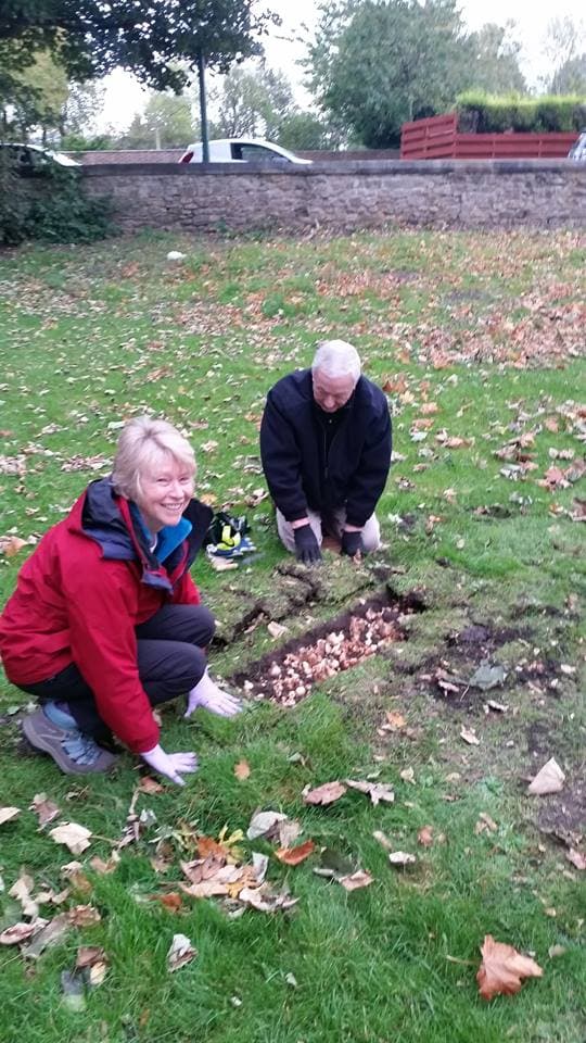 Up to £500 Available for County Durham Gardening Groups