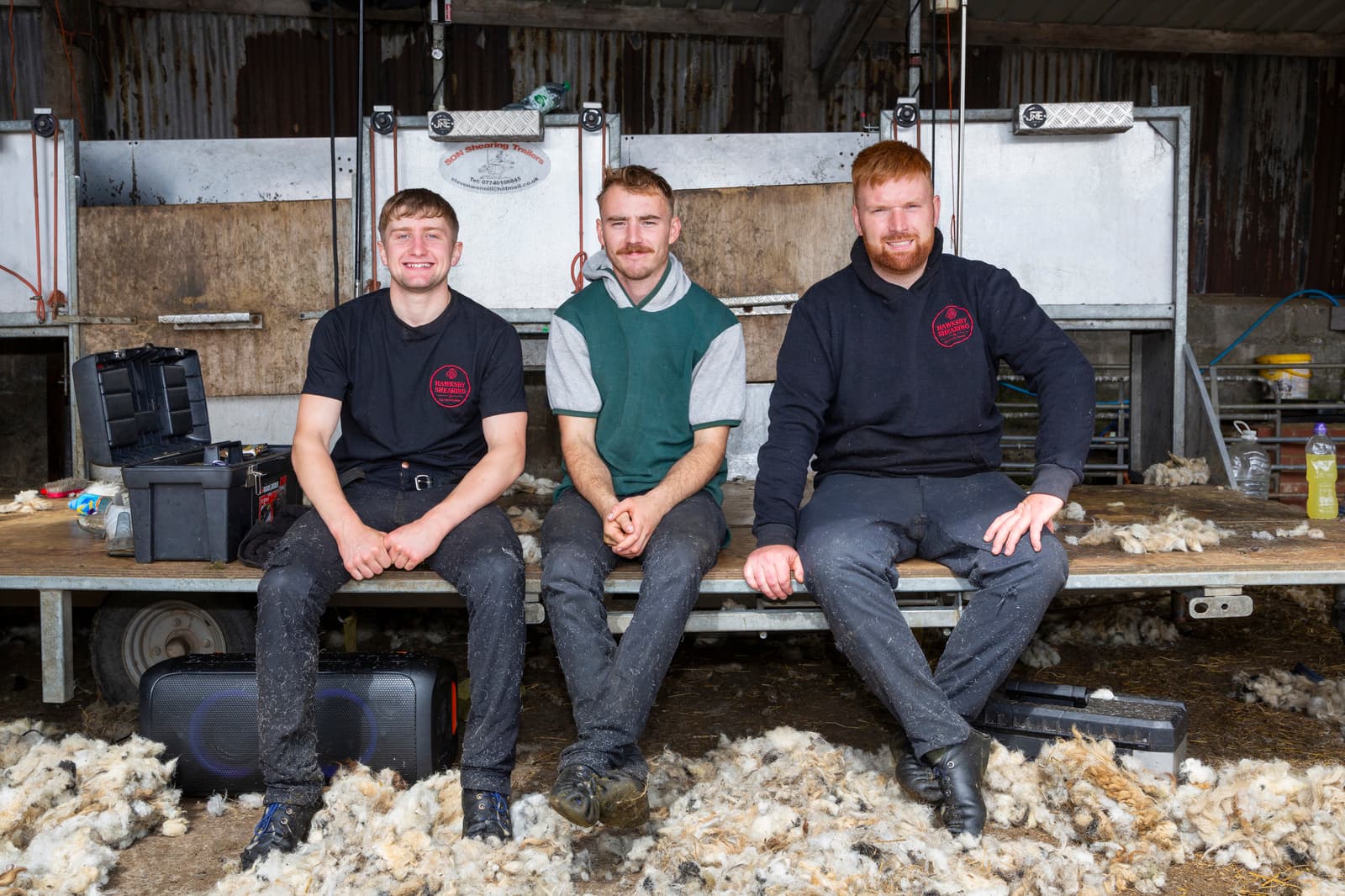 Sheep Shearing: The Skilled Art of Phil Hawksby and His Team