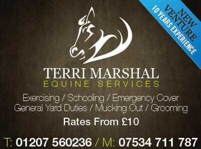 T M Equine Services
