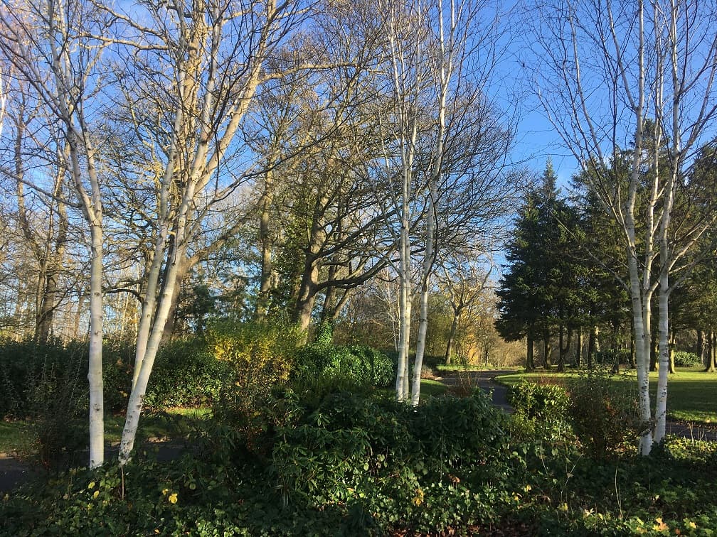 Consett Magazine – December 2020 Editorial