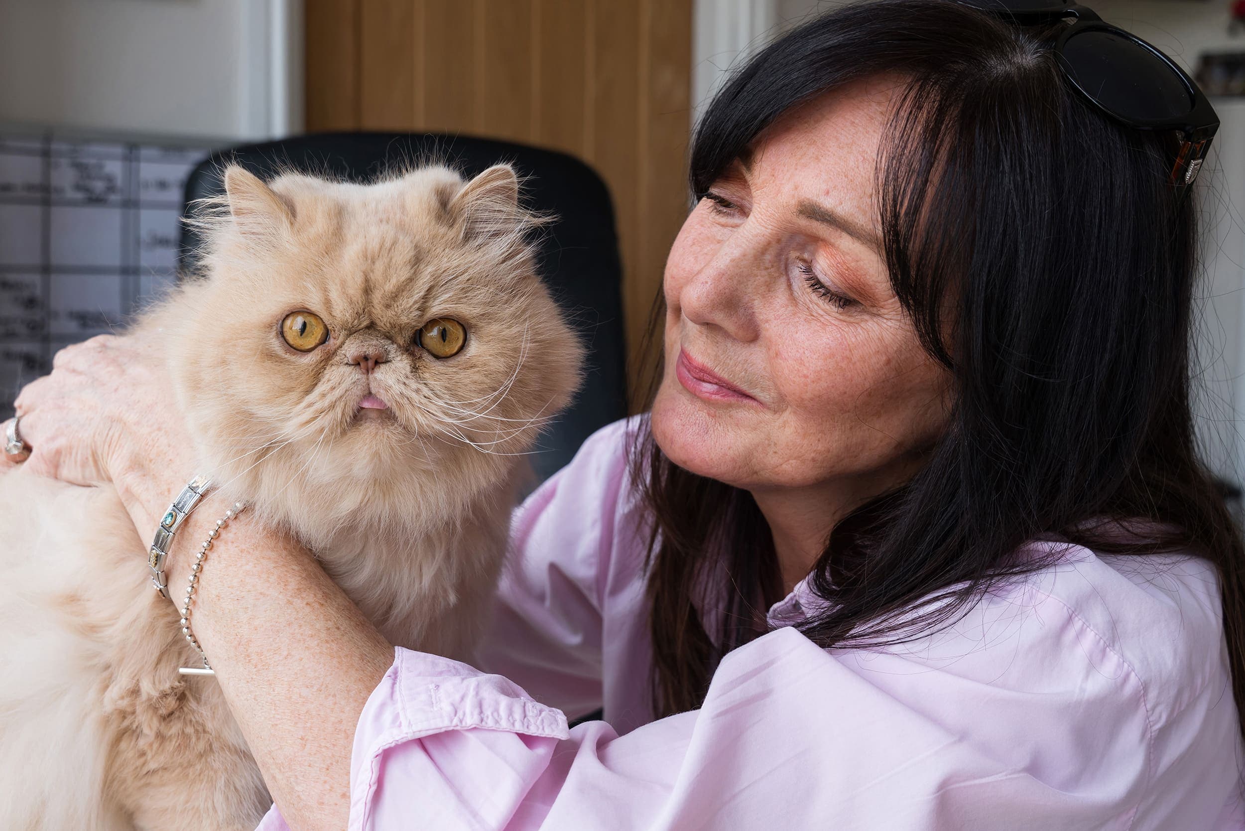 Paws, Whiskers & Dreams: How Denise Built a Luxury Cat Hotel