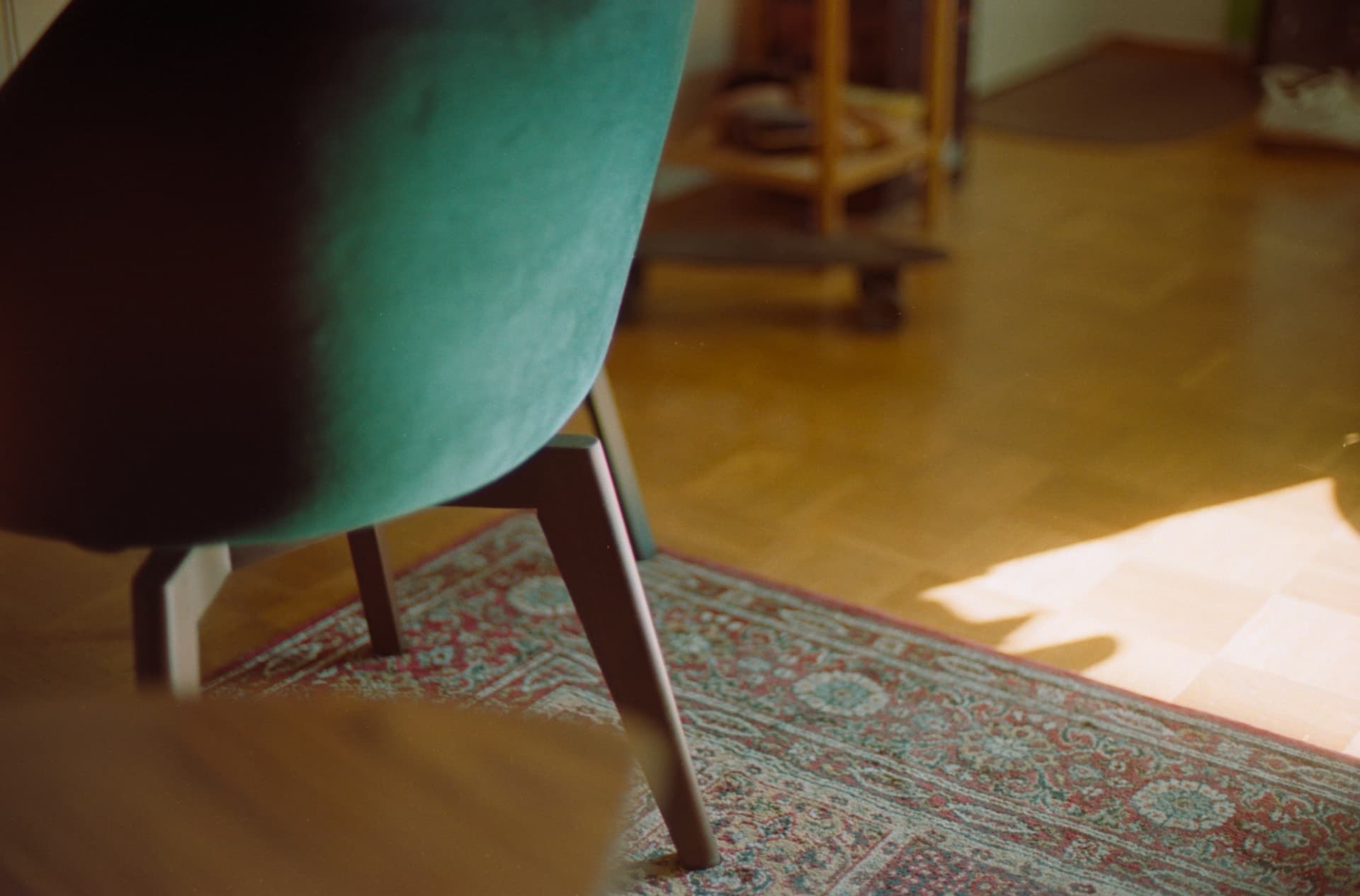 Embracing Nature Indoors: The Timeless Elegance of Wood Flooring in Modern Homes