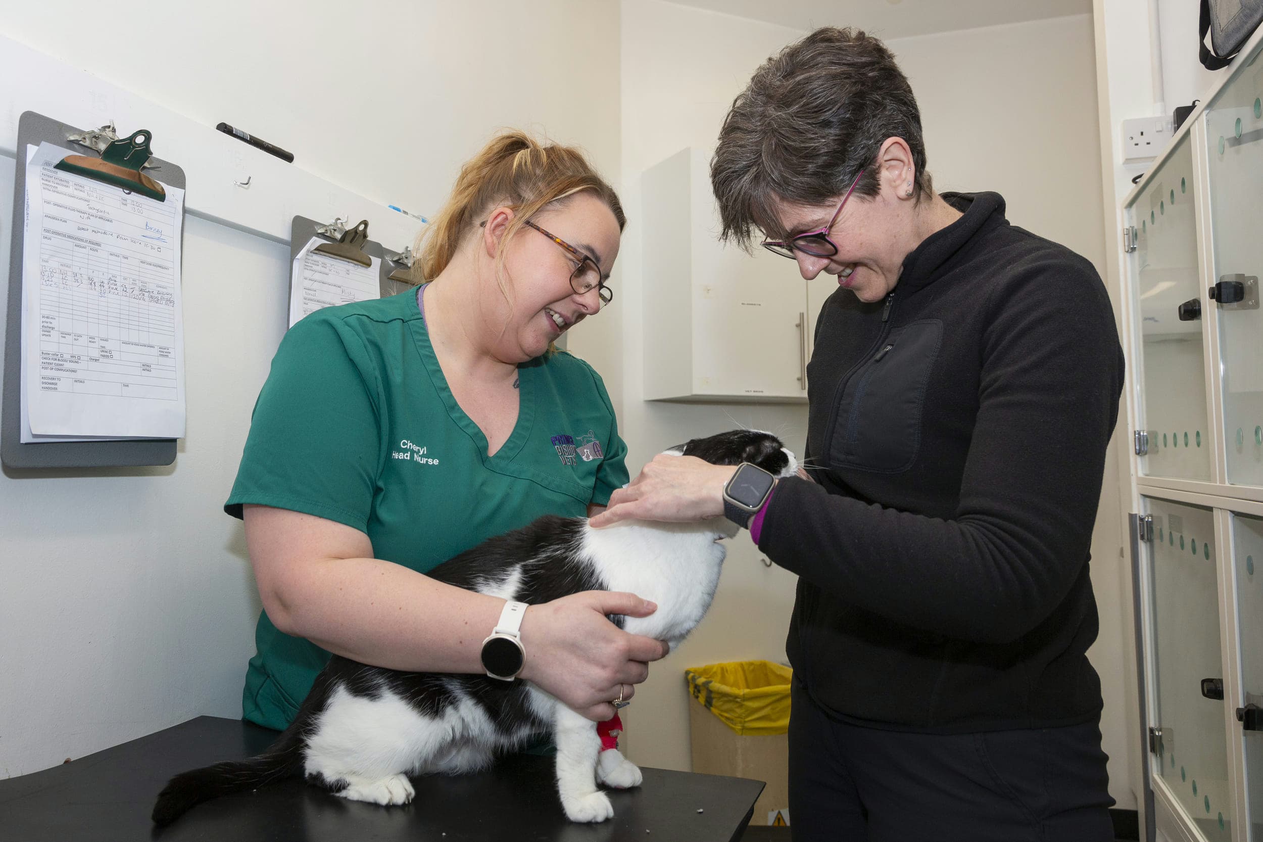 Meet the Team Behind Prince Bishop Vets’ Success