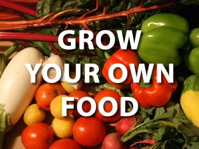 Grow Your Own Food